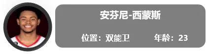 开拓者:一份全新的开拓者球员报告（交易更新后名单）