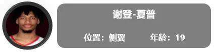 开拓者:一份全新的开拓者球员报告（交易更新后名单）